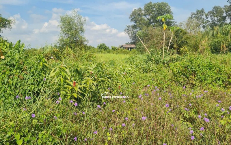 BÁN 3475M2 ĐẤT SẴN 845M2 THỔ - TẠI CHÂU THÀNH. LONG AN CŨ. LH:0773012099.