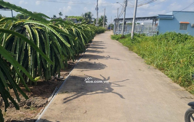BÁN 3475M2 ĐẤT SẴN 845M2 THỔ - TẠI CHÂU THÀNH. LONG AN CŨ. LH:0773012099.