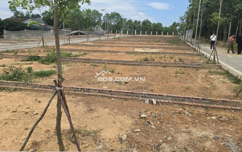 Bán đất ven đô Hà Nội 80m2 giá 1tỷ3 gần vành đai 5 mặt đường lớn gần trường đại học Lao động xã hội.