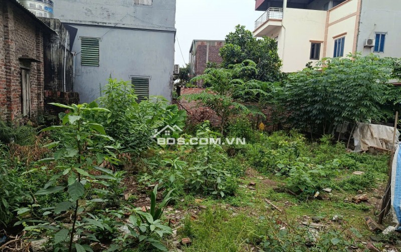 LÔ ĐẤT SIÊU HIẾM TẠI ĐÔNG ANH (7.4 x 12) SĐCC CHỈ 6.5 TỶ. LH:0976272269.