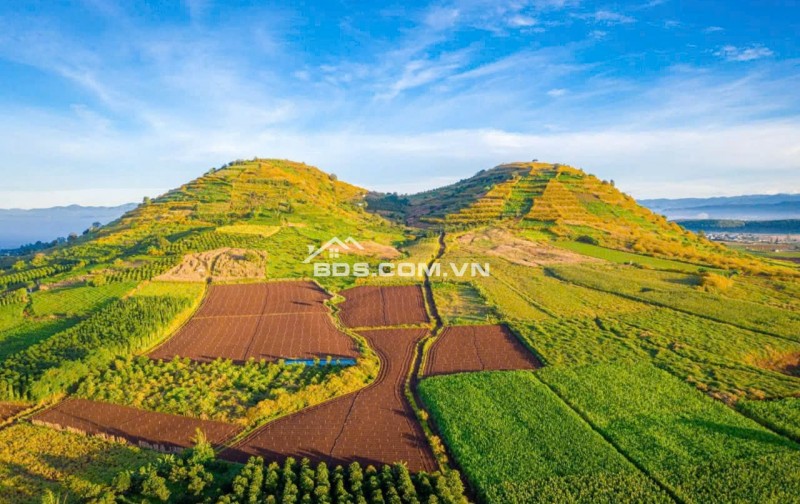 Bán 3500m² đất view đẹp tại dốc Trời, Lâm Hà, Lâm Đồng