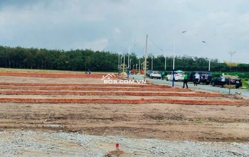 Đất đẹp - Giá Đẹp - Cách QL14 chỉ 200m - Tiện ích đầy đủ