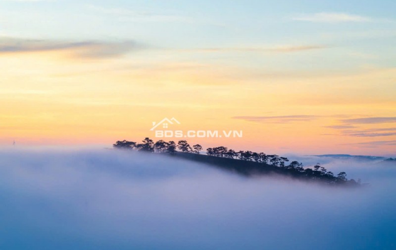 Cần bán đất đẹp giá trị thực trung tâm lõi Đà Lạt, ngay sát khu trung tâm Phan Đình Phùng, chợ Ngô Quyền, view săn mây đón bình minh đẹp nhất thế giới.