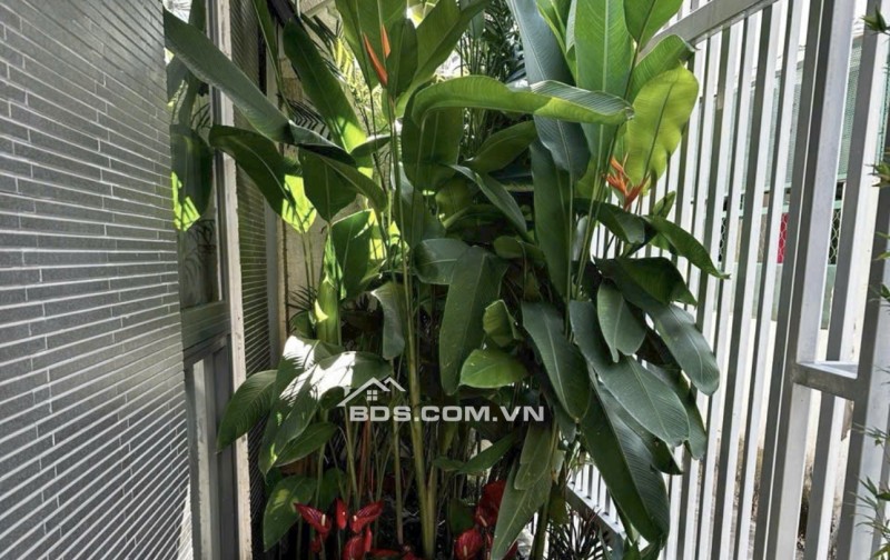 TIN CHÍNH CHỦ - BÁN NHÀ Q11 NGAY CV ĐẦM SEN – 65.2M2 - SHR - 6.05 TỶ. LH:0812946629
