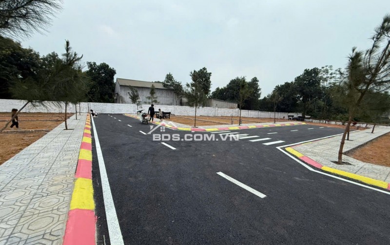 BÁN LÔ HOA HẬU CỔ LIỄN, CỔ ĐÔNG 100M NHỈNH 3TY SÁT TRỤC CHÍNH GẦN ĐHQG HN KHU CNC