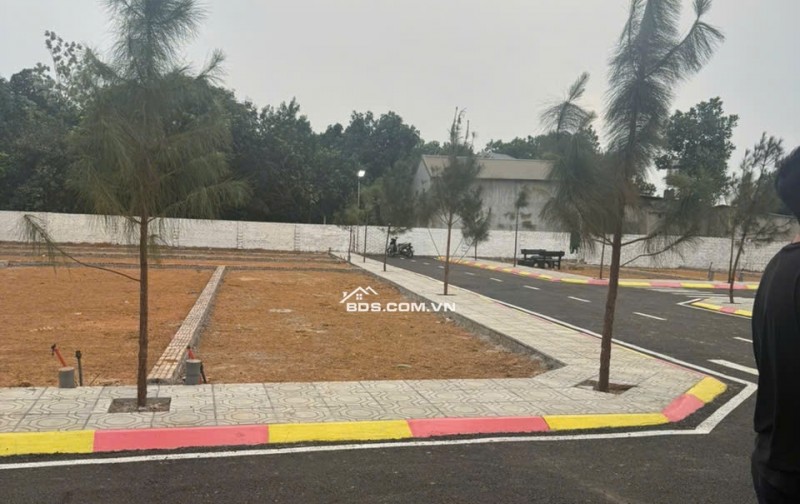 BÁN LÔ HOA HẬU CỔ LIỄN, CỔ ĐÔNG 100M NHỈNH 3TY SÁT TRỤC CHÍNH GẦN ĐHQG HN KHU CNC