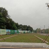 Lãi Kép tại Phú Cát giá trị tăng của đất + xây nhà cho thuê dòng tiền 600/năm gần Đại Học Quốc Gia