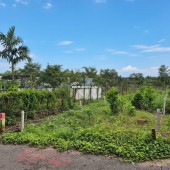 Ngộp!!! Bán Đất Đường Nhựa 7m 250M2 100M2TC Ngay THCS AN LINH
