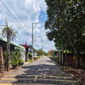 343m2 Nhựa An Linh Ngay Chợ An Linh Gía Full 600tr Ngay Khu Dân Cư