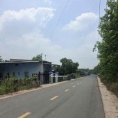 Cần bán gấp đất thổ cư TP. HCM (Bàu bàng, Bình Dương), 350m2, 590tr
