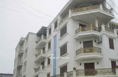 Nhà tôi cho thuê nhà, 103m2- 5T, Hàng Điếu, Hàng Da, Hàng Nón -23 tr
