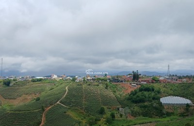 Bds săn mây cầu đất xuân trường ngộp  giảm sốc 1 tỷ còn 6 tỷ