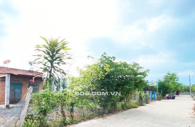 ĐẤT NỀN THỌ TÂN – P XUÂN LỘC – ĐN. GIÁ CHỈ 490Tr. 100% OĐT