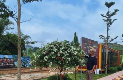 Bán lô đất Phú Cát 100m2 full thổ cư, đường trục chính kinh doanh, giá chỉ 28tr.m2