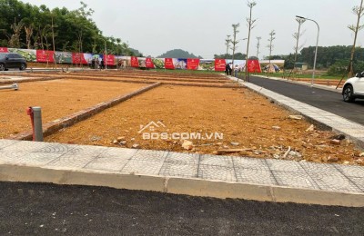 Bán đất thổ cư sổ đỏ 100m2, mặt tiền 6m, đường 21A, Phú Cát, Quốc Oai, Hà Nội. Giá 3.9 tỷ. LH: 0382394677