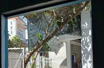 Chủ bán gấp cả đất và nhà đang cho thuê tại Thới Hòa, Bến Cát gần đường QL13 giá cả thương lượng