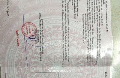 Trung Tâm Tư Vấn Đầu Tư BĐS Khu Vực Vùng Đông Quảng Nam