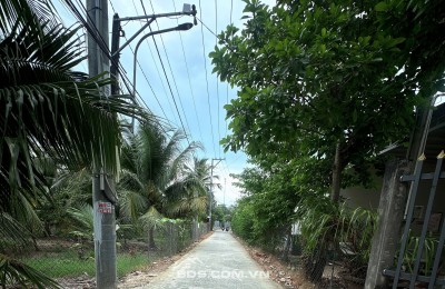 Bán đất thổ cư 495m2 cách đường Nguyễn Thị Định 200m