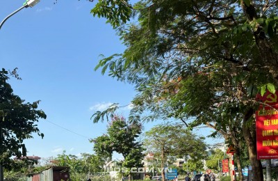 BÁN ĐẤT PHÚC LỢI, 31M ĐẤT SIÊU HIẾM, Ô TÔ ĐỖ CỬA, 10M RA ĐƯỜNG 4 LÀN Ô TÔ TRÁNH