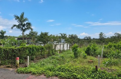 Ngộp!!! Bán Đất Đường Nhựa 7m 250M2 100M2TC Ngay THCS AN LINH