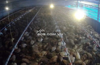 CẦN BÁN VƯỜN CÀ PHÊ + TRẠI HEO+ TRẠI GÀ TỔNG 9 ha - Xã Phúc Thọ, huyện Lâm Hà, tỉnh Lâm Đồng