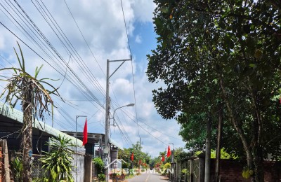 343m2 Nhựa An Linh Ngay Chợ An Linh Gía Full 600tr Ngay Khu Dân Cư