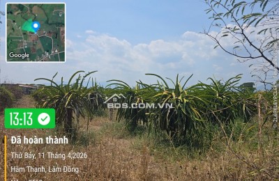 0941699926 LÔ GÓC 3 MẶT TIỀN ĐƯỜNG NHÀ VƯỜN NGHỈ DƯỠNG CÓ DÒNG TIỀN TỪ NÔNG TRẠI