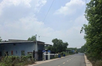 Cần bán gấp đất thổ cư TP. HCM (Bàu bàng, Bình Dương), 350m2, 590tr