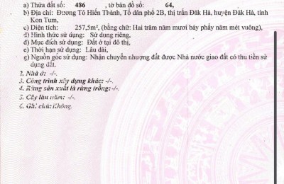 ĐẤT VÀNG MẶT TIỀN NGUYỄN BỈNH KHIÊM , XÃ ĐĂK HÀ