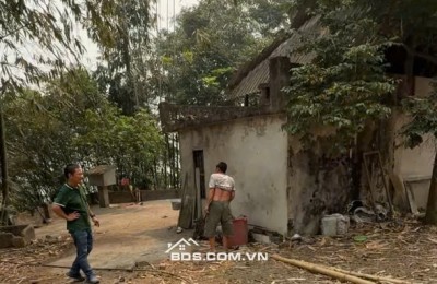 Bán BĐS tại Hòa Bình. DT 10.252,3m²