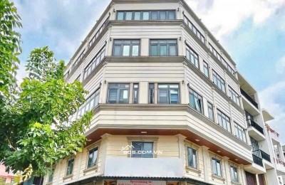 Bán CHDV thu nhập cao góc 2 Mặt Tiền Đường Số KDC Tân Quy Đông. Q7
