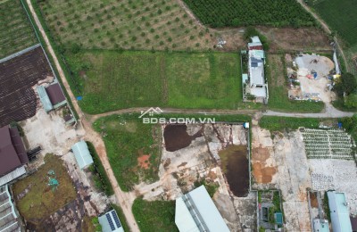 **Cơ hội vàng cho nhà đầu tư! Đất thổ cư Đăk Mar, Kon Tum – Tiềm năng sinh lời cực đỉnh!** 