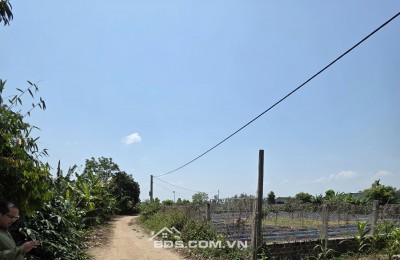 Đất vàng Đăk Mar, Kon Tum - Cơ hội đầu tư sinh lời không tưởng! 