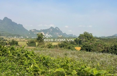 Đất Cao Phong Giá SỐC Chỉ Dưới 1 Triệu/m² Sở Hữu 6000m² View Cánh Đồng cách QL6 chưa đến 1km