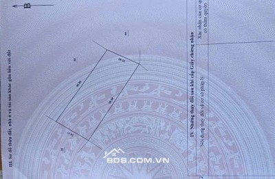 ĐẤT CAO PHONG SIÊU HIẾM – 7.000m², View Hồ & Cánh Đồng, Giá Dưới 1 Triệu/m²