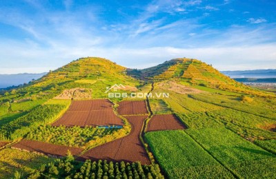 Bán 3500m² đất view đẹp tại dốc Trời, Lâm Hà, Lâm Đồng