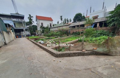 Bán 48m đất xen kẹt siêu đẹp xã Đại Thanh, ngõ rộng, vị trí đẹp