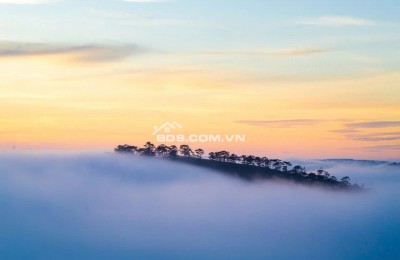 Cần bán đất đẹp giá trị thực trung tâm lõi Đà Lạt, ngay sát khu trung tâm Phan Đình Phùng, chợ Ngô Quyền, view săn mây đón bình minh đẹp nhất thế giới.