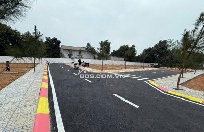 BÁN LÔ HOA HẬU CỔ LIỄN, CỔ ĐÔNG 100M NHỈNH 3TY SÁT TRỤC CHÍNH GẦN ĐHQG HN KHU CNC