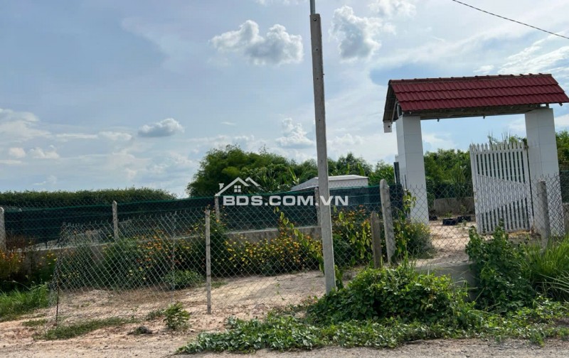 Đất bán ngang 23m x dài 133m diện tích 3,044.60 m2,khu phố Lộc Vĩnh, Phường An Tịnh, Thị xã Trảng Bàng ( cũ), Tỉnh Tây Ninh