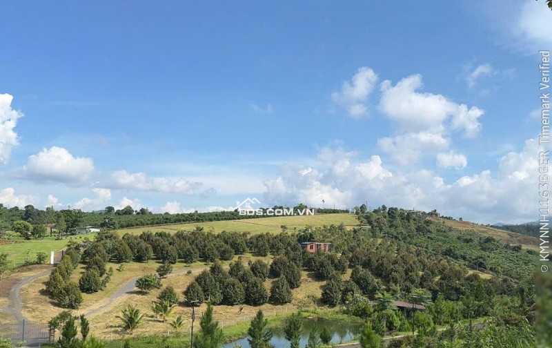 Cần bán villa nghỉ dưỡng 150m² giá từ 3,3 tỷ full nội thất cao cấp, view đẹp, 0358087934