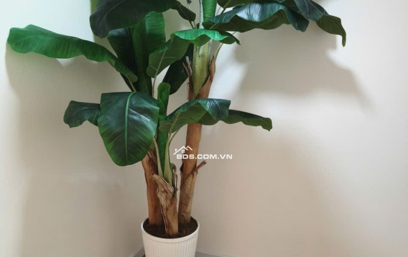 PHÚ NHUẬN – NHÀ ĐẸP FULL NỘI THẤT, HẺM XE HƠI 5M, CHỈ 6.25 TỶ. LH:0775532337.