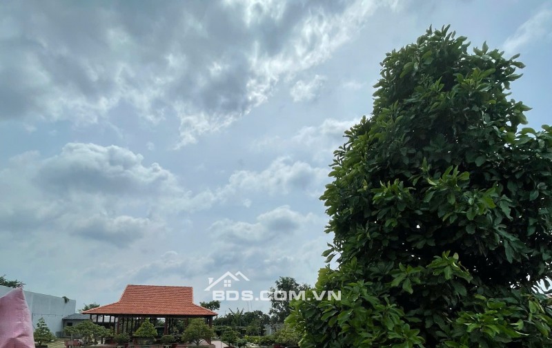 CẦN BÁN KHU ĐẤT TIỀM NĂNG MẶT TIỀN TUYẾN TRÁNH QL30 – GẦN CHỢ MỸ PHÚ. LH:0907682333.