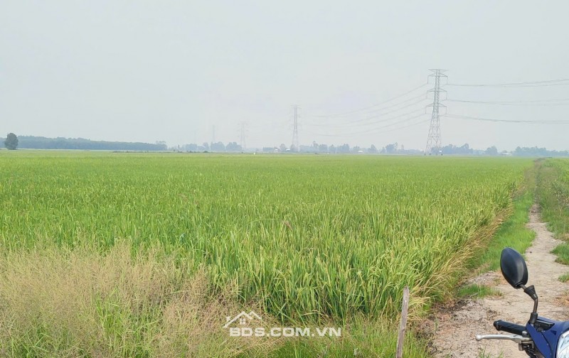 BÁN ĐẤT TÂN THẠNH, LONG AN – TDT 44000 M2 – SHR - 15 TỶ. LH:0989327777 - MR.QUỐC