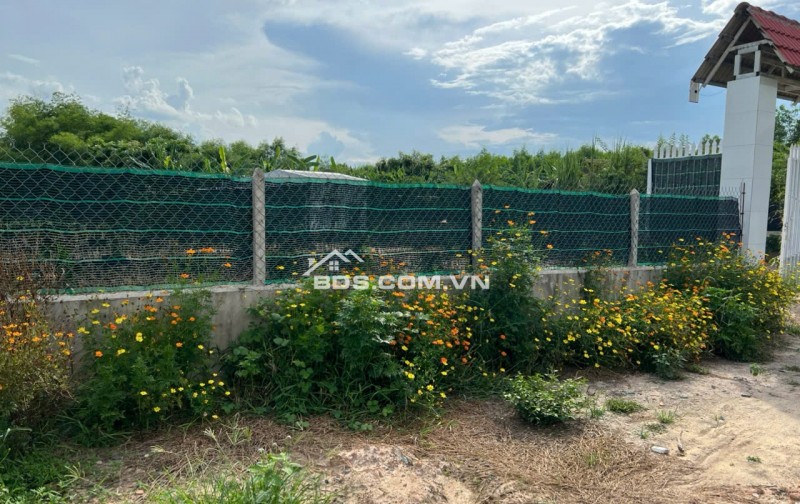 Đất bán ngang 23m x dài 133m diện tích 3,044.60 m2,khu phố Lộc Vĩnh, Phường An Tịnh, Thị xã Trảng Bàng ( cũ), Tỉnh Tây Ninh