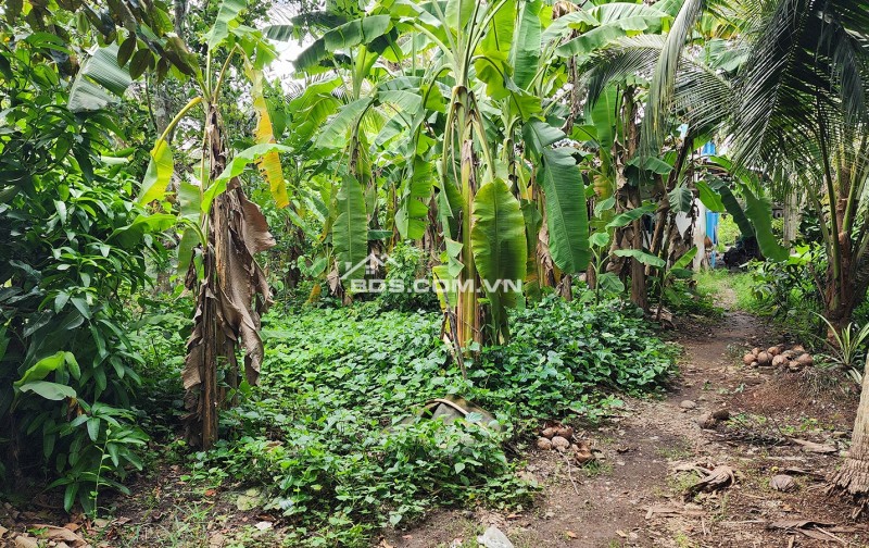 Bán nhà, đất mặt tiền đường Nguyễn Văn Bứa, xã Bà Điểm. Diện tích 1079,5m² có 247,6m² thổ