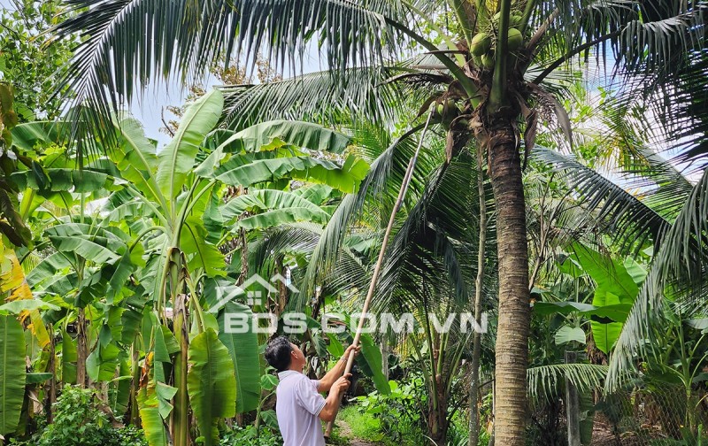 Bán nhà, đất mặt tiền đường Nguyễn Văn Bứa, xã Bà Điểm. Diện tích 1079,5m² có 247,6m² thổ