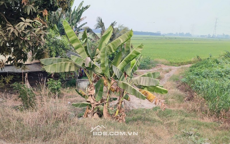 BÁN ĐẤT TÂN THẠNH, LONG AN – TDT 44000 M2 – SHR - 15 TỶ. LH:0989327777 - MR.QUỐC