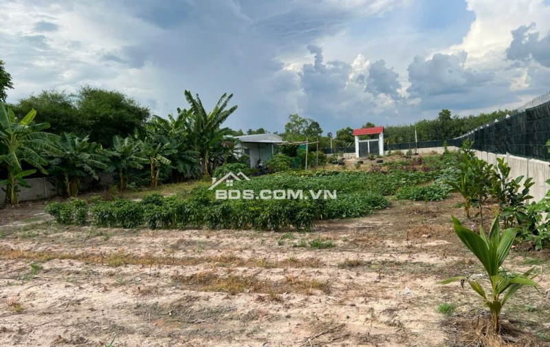Đất bán ngang 23m x dài 133m diện tích 3,044.60 m2,khu phố Lộc Vĩnh, Phường An Tịnh, Thị xã Trảng Bàng ( cũ), Tỉnh Tây Ninh
