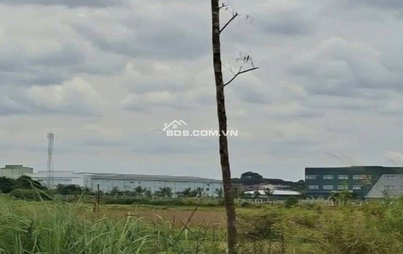 Đầu tư đất ven KCN Nghĩa Hòa/Nghĩa Hưng giá chỉ 450 triệu - 900 triệu/lô